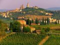 Italy's wine tourism generates USD 6.5 bn a year