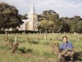 Australian wine: self-inflicted wounds?