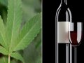 US: 'Regulate Marijuana Like Wine' Measure Courts Billionaires For Support 