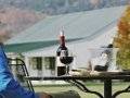 US: Virginia Wine Industry Jobs Grow by 50%, Economic Impact Doubles