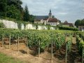 Is Champagne ready for a return to socialism?