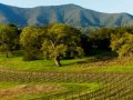 California Wineries Get Certified