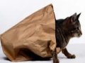 Wine: What’s in the bag?