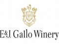Gallo invests in five core brands