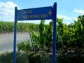 Bordeaux 2011: Calls for price drop after 'arrogant' 2010s