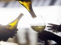 US: Dozens are wild: 2012 Naples Winter Wine Festival raises $12.2 million