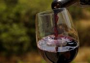 Bacchus inspires new wine-makers in Lebanon