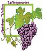 High desert area seeks special winemaking designation